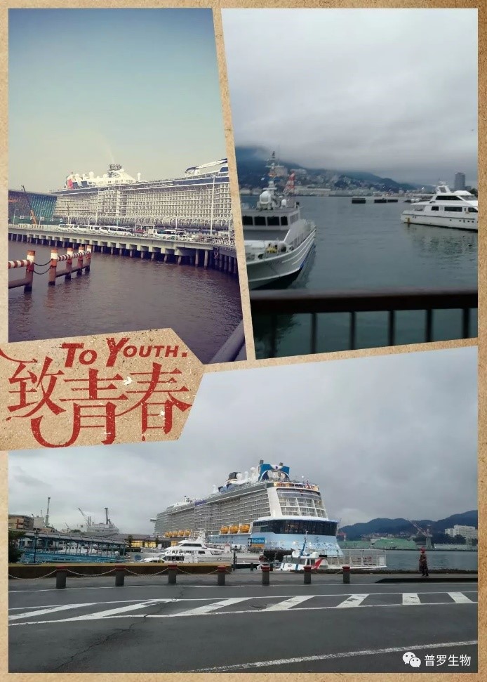 1532586425881247.jpg 1532586425881247.jpg