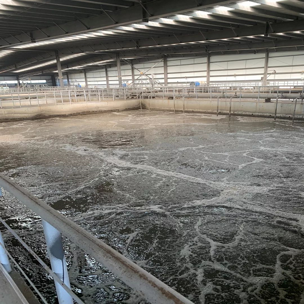 1569395322220431.png 8.png