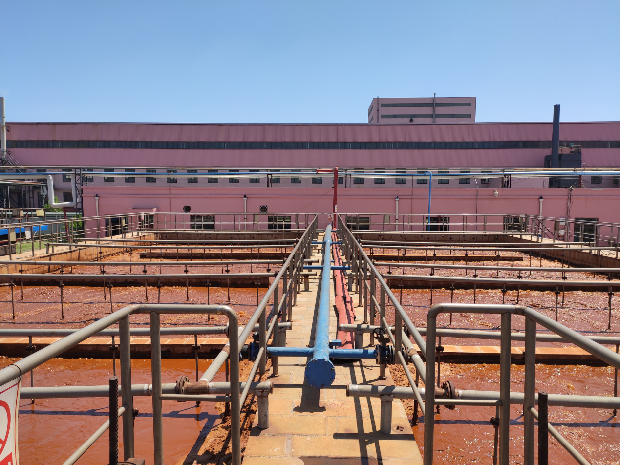 1590564007969958.png 1590564007969958.png