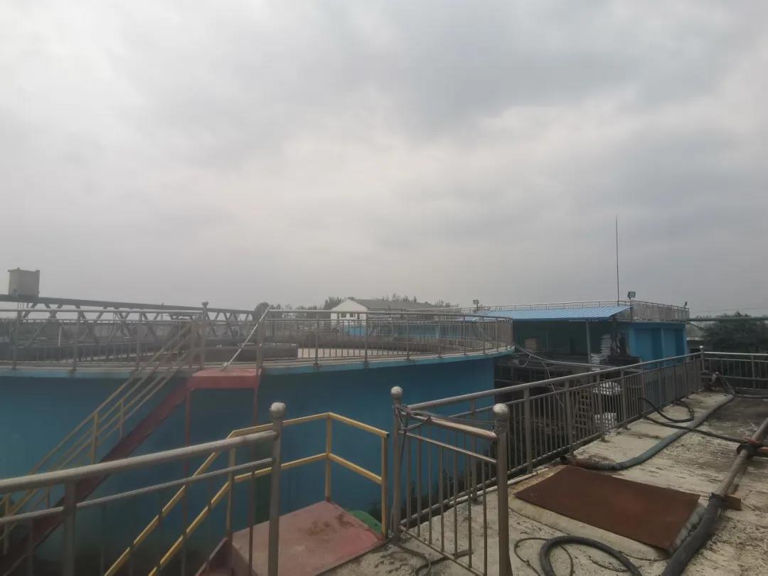 厭氧.jpg 厭氧.jpg