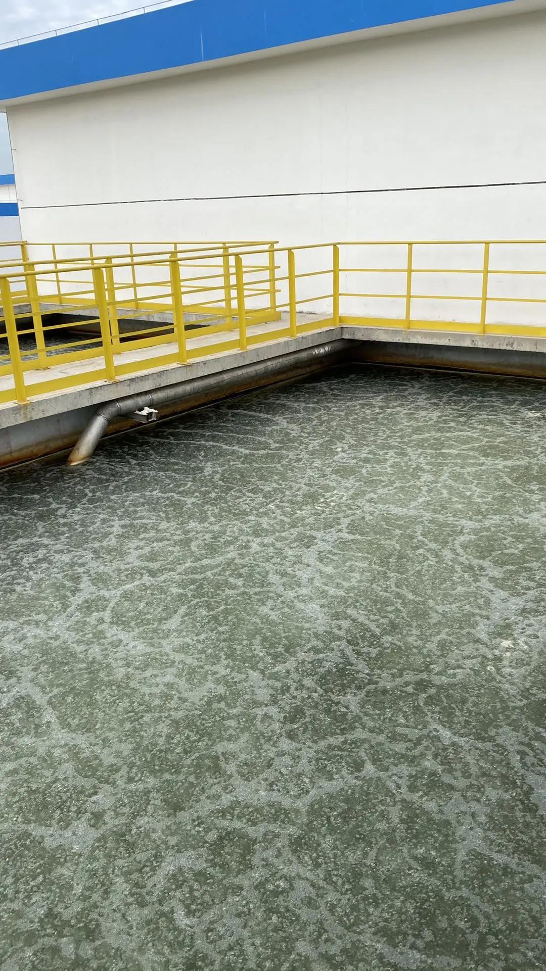 菌種.jpg 菌種.jpg