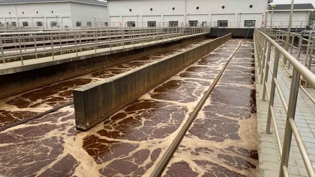 碳源.jpg 碳源.jpg