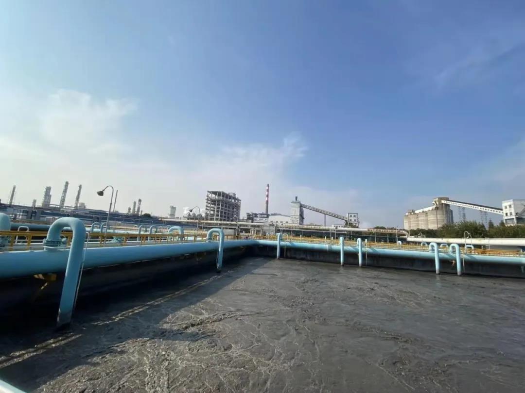 硝化菌.jpg 硝化菌.jpg