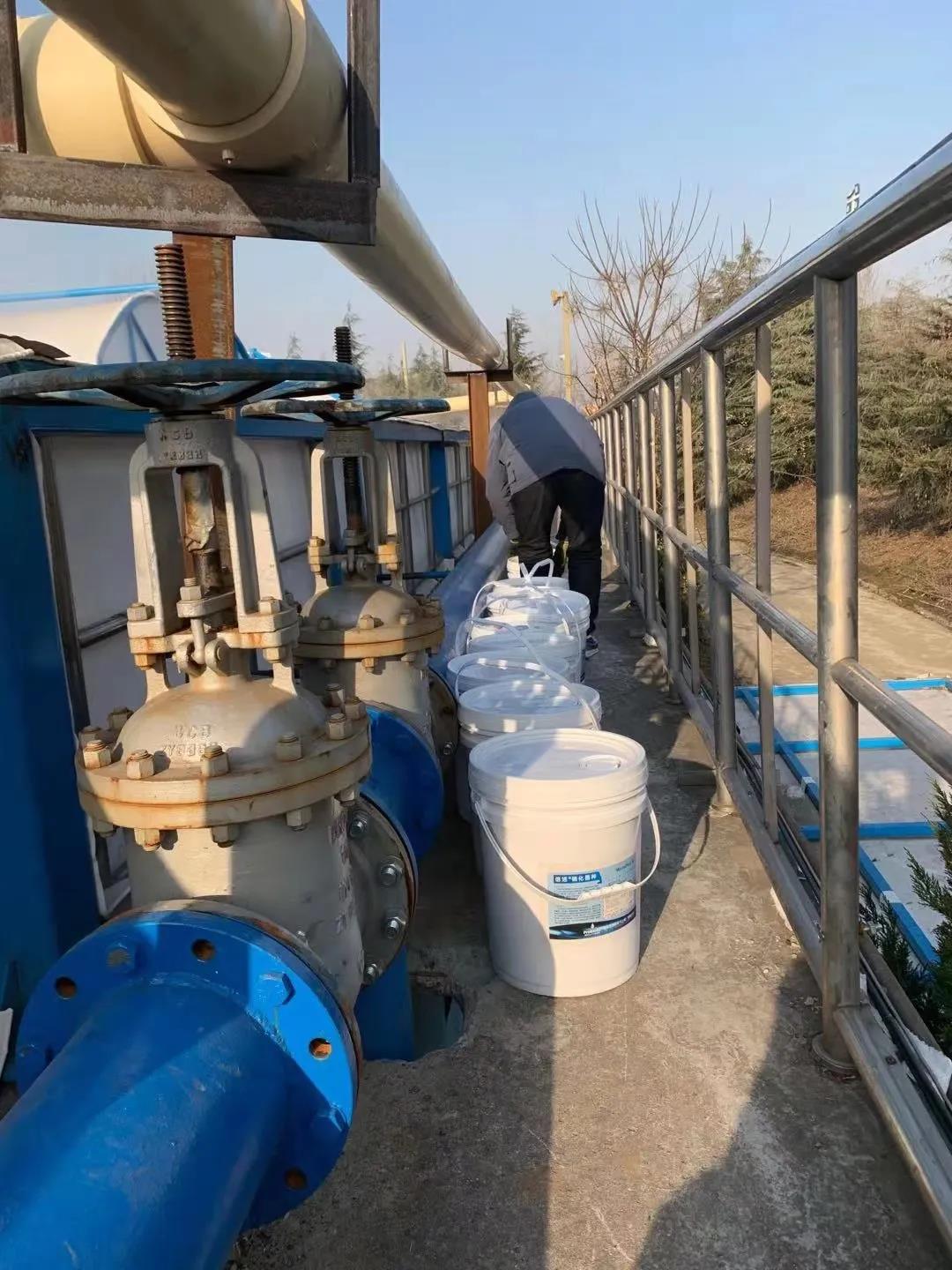 除硫菌.jpg 除硫菌.jpg