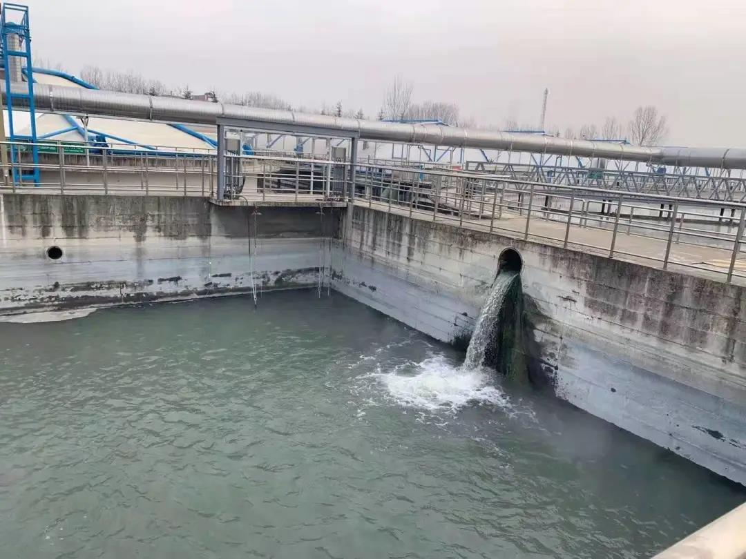 降氨氮.jpg 降氨氮.jpg