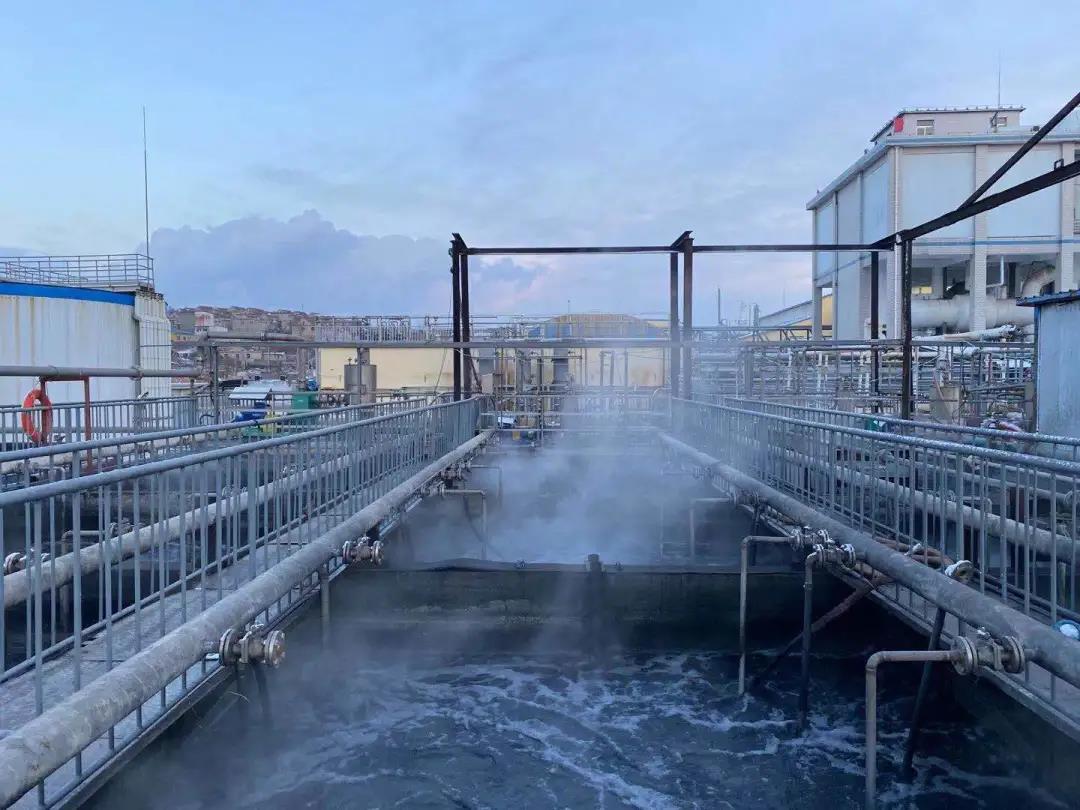 硝化菌種.jpg 硝化菌種.jpg