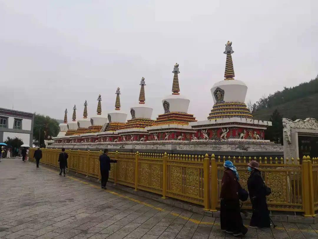 1625734504315785.jpg 1.jpg