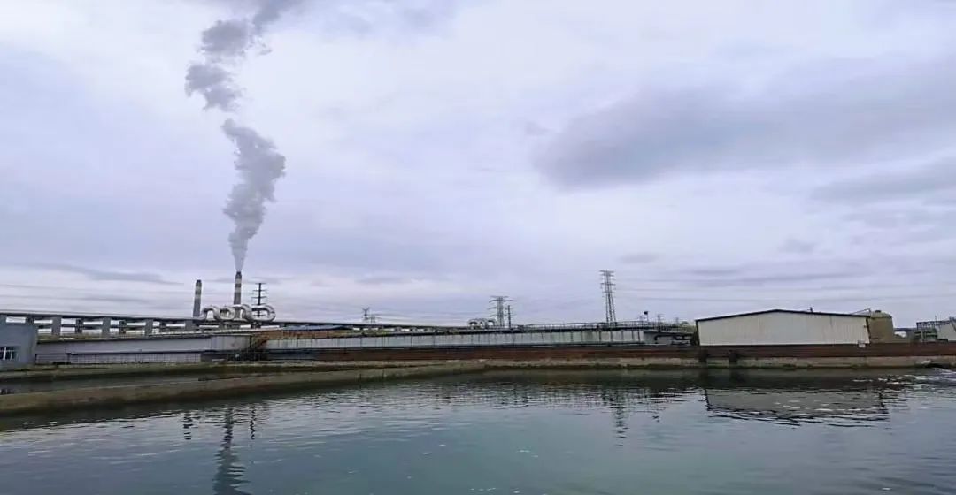 1680839129920136.jpg 5.jpg