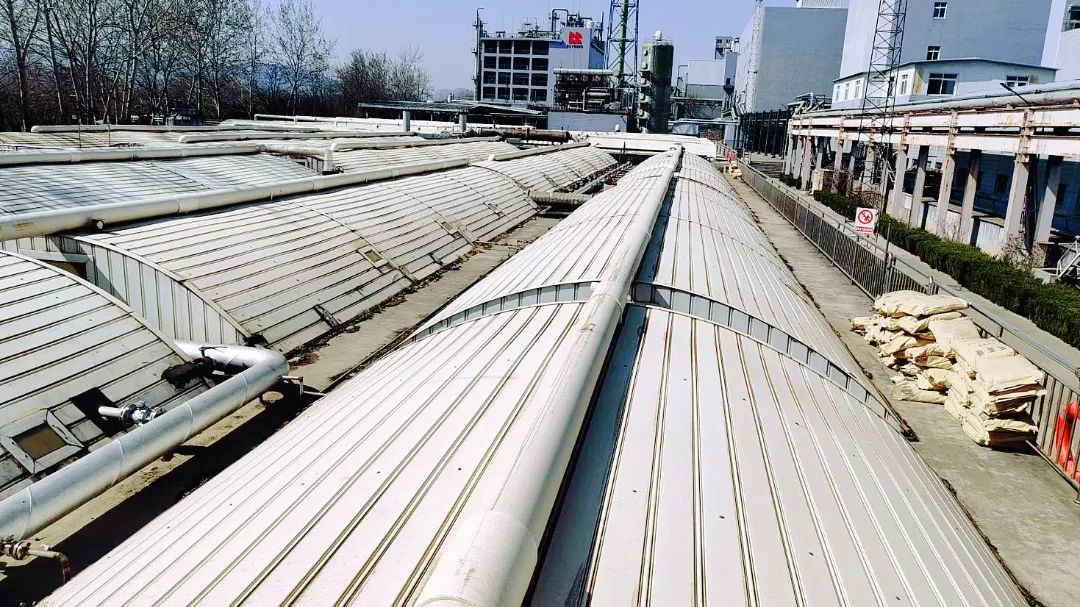 1680839151646294.jpg 6.jpg