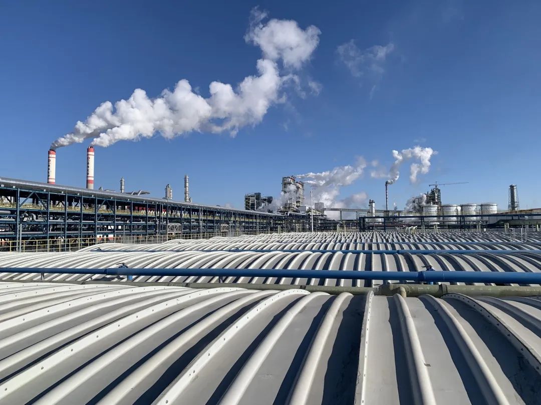 1680839192415967.jpg 8.jpg