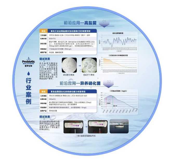 1745571435968472.png 3.png