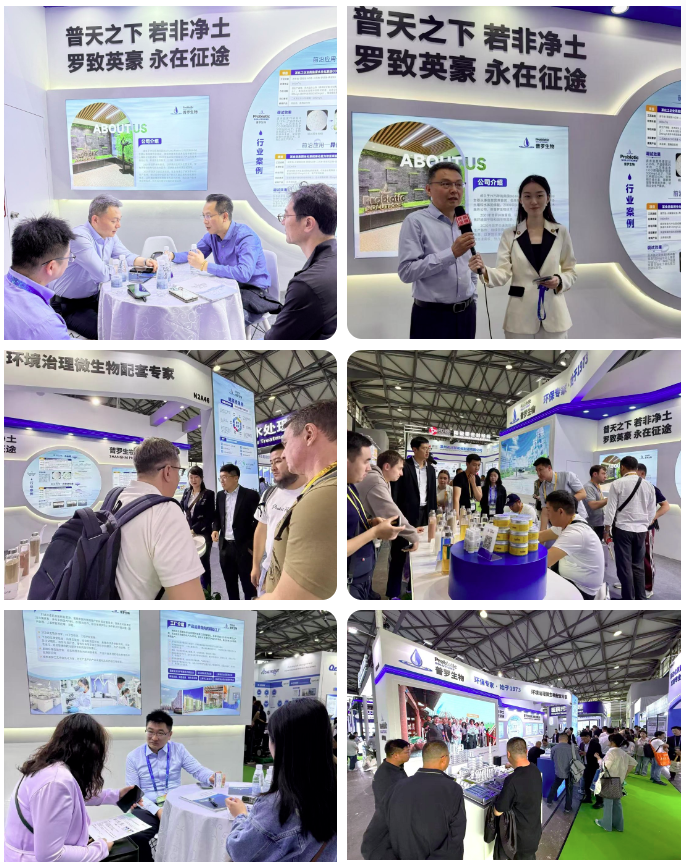 1745571536527377.png 55.png