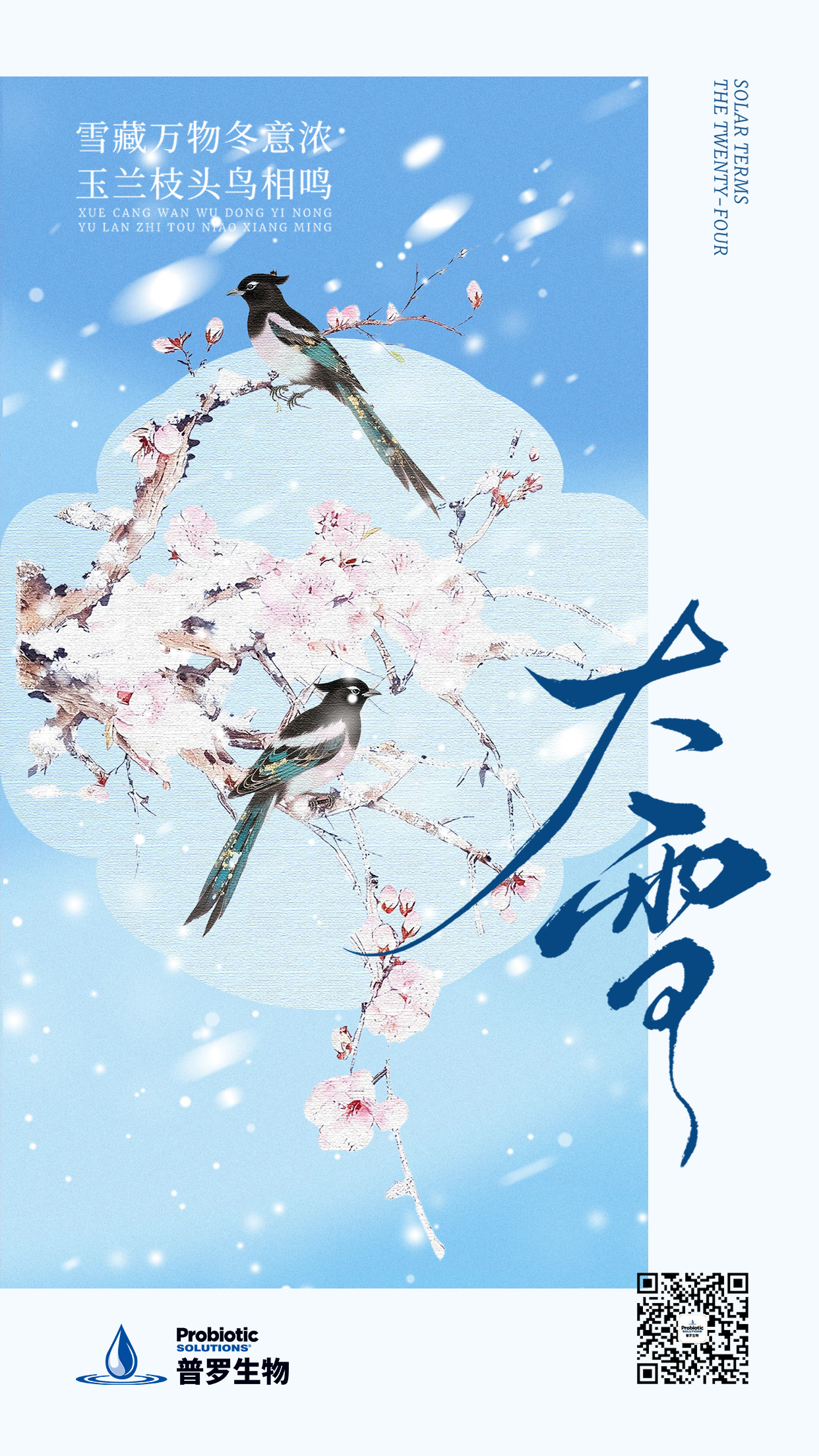 大雪 海報(bào).jpg